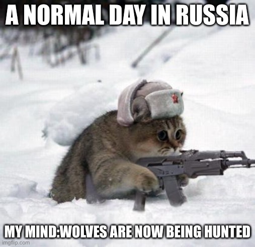 The Russian war kitten | A NORMAL DAY IN RUSSIA; MY MIND:WOLVES ARE NOW BEING HUNTED | image tagged in cute sad soviet war kitten | made w/ Imgflip meme maker