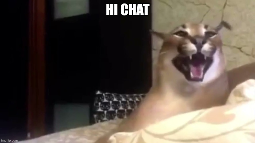k e r r | HI CHAT | image tagged in k e r r | made w/ Imgflip meme maker
