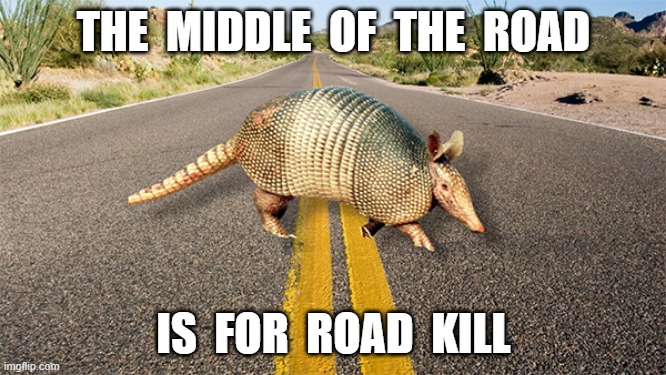 middle of the road | THE  MIDDLE  OF  THE  ROAD; IS  FOR  ROAD  KILL | image tagged in original meme | made w/ Imgflip meme maker