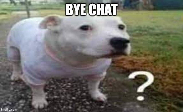 Dog question mark | BYE CHAT | image tagged in dog question mark | made w/ Imgflip meme maker