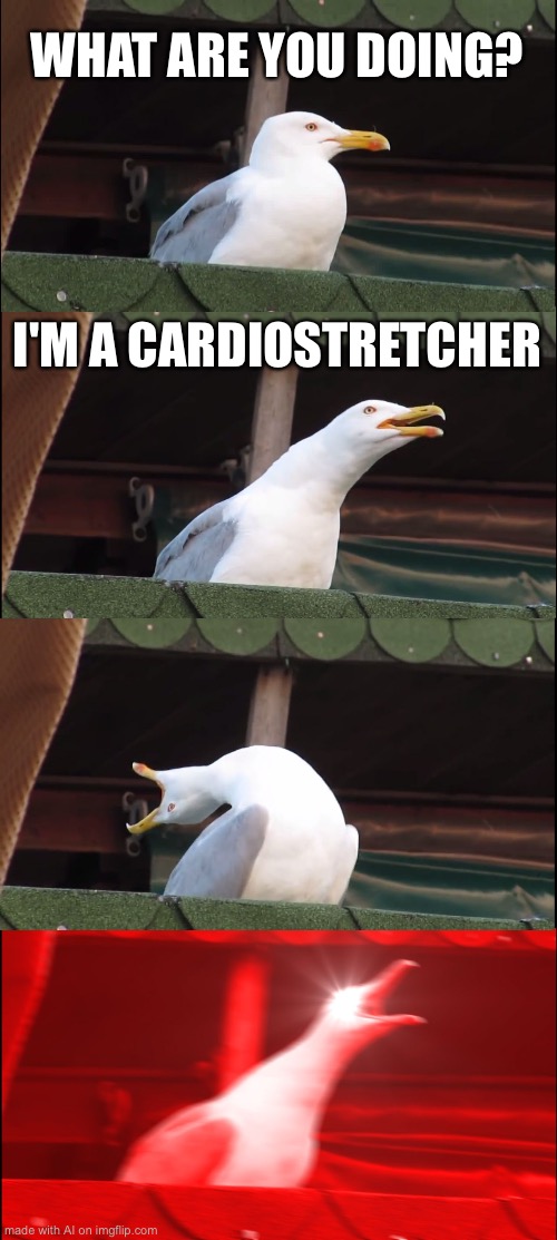 Inhaling Seagull | WHAT ARE YOU DOING? I'M A CARDIOSTRETCHER | image tagged in memes,inhaling seagull | made w/ Imgflip meme maker