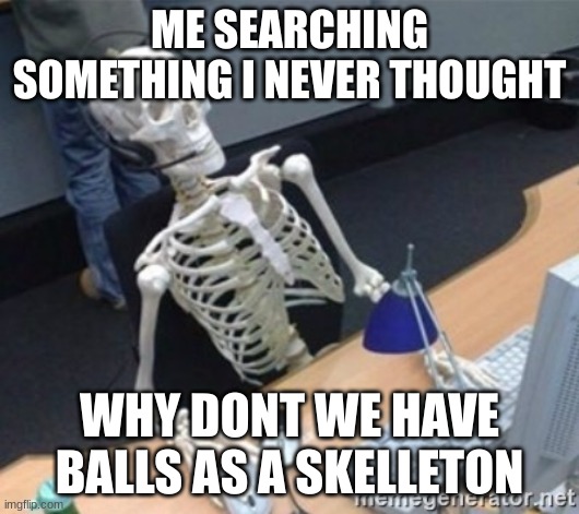 i never thought of this | ME SEARCHING SOMETHING I NEVER THOUGHT; WHY DONT WE HAVE BALLS AS A SKELLETON | image tagged in skelleton | made w/ Imgflip meme maker