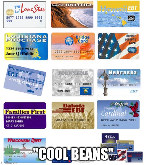 EBT cards | "COOL BEANS" | image tagged in ebt cards | made w/ Imgflip meme maker