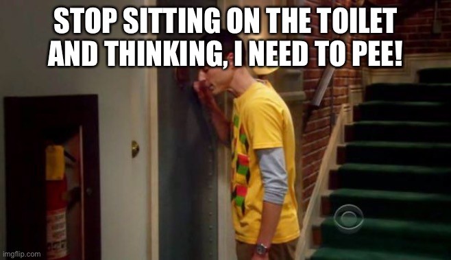 Sheldon Knocking | STOP SITTING ON THE TOILET AND THINKING, I NEED TO PEE! | image tagged in sheldon knocking | made w/ Imgflip meme maker