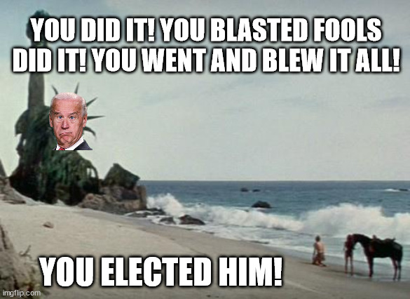 Most apes are smarter than this. | YOU DID IT! YOU BLASTED FOOLS DID IT! YOU WENT AND BLEW IT ALL! YOU ELECTED HIM! | image tagged in charlton heston planet of the apes,biden,joke biden | made w/ Imgflip meme maker
