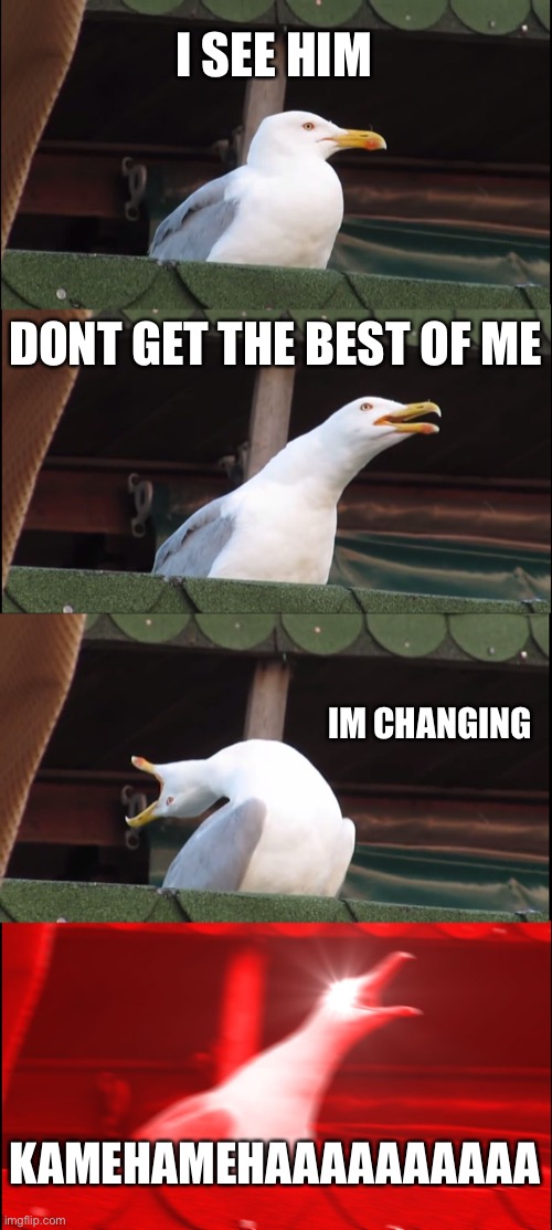 Inhaling Seagull | I SEE HIM; DONT GET THE BEST OF ME; IM CHANGING; KAMEHAMEHAAAAAAAAAA | image tagged in memes,inhaling seagull | made w/ Imgflip meme maker