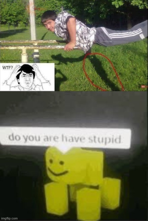 do you are have stupid | image tagged in do you are have stupid | made w/ Imgflip meme maker