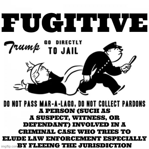 FUGITIVE |  FUGITIVE; A PERSON (SUCH AS A SUSPECT, WITNESS, OR DEFENDANT) INVOLVED IN A CRIMINAL CASE WHO TRIES TO ELUDE LAW ENFORCEMENT ESPECIALLY BY FLEEING THE JURISDICTION | image tagged in fugitive,suspect,criminal,flee,law,hide | made w/ Imgflip meme maker