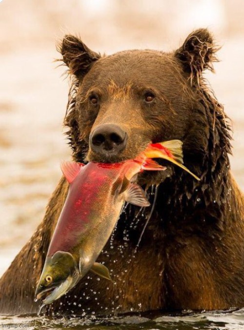 image tagged in awesome | made w/ Imgflip meme maker