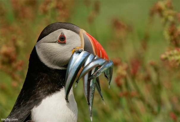 image tagged in awesome | made w/ Imgflip meme maker