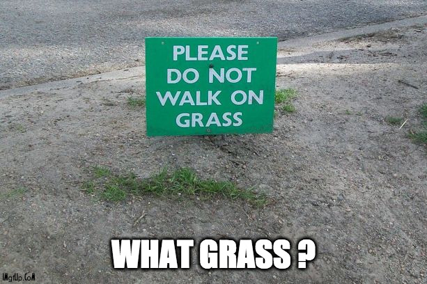 Pretty much every park in the world this summer | WHAT GRASS ? | image tagged in climate change,global warming,rain,grass,summer,heat | made w/ Imgflip meme maker