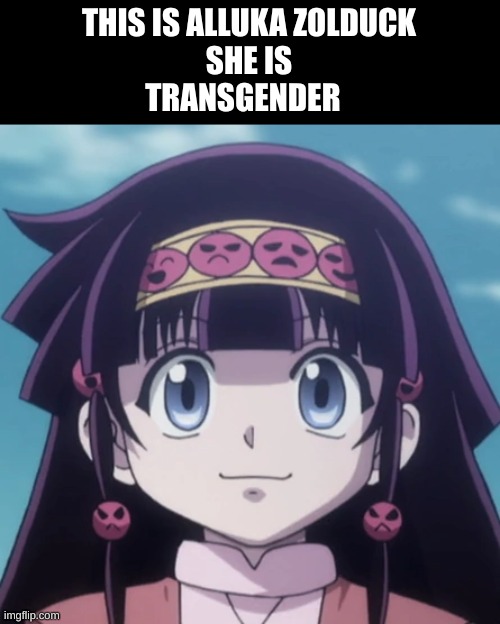 lgbtq anime | THIS IS ALLUKA ZOLDUCK
SHE IS
TRANSGENDER | image tagged in anime,lgbtq,hxh,hunter x hunter | made w/ Imgflip meme maker