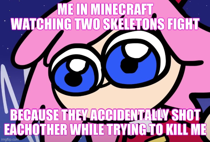 Skeletons are Stupid (lol) | ME IN MINECRAFT WATCHING TWO SKELETONS FIGHT; BECAUSE THEY ACCIDENTALLY SHOT EACHOTHER WHILE TRYING TO KILL ME | image tagged in bugged eyed ribbon,minecraft,skeletons | made w/ Imgflip meme maker