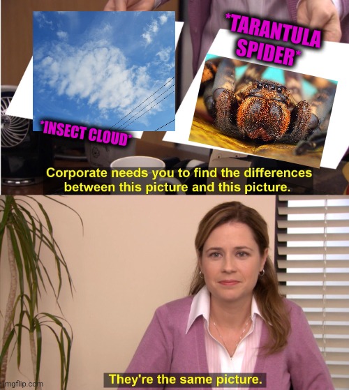 -Injecting bacteria. | *TARANTULA SPIDER*; *INSECT CLOUD* | image tagged in memes,they're the same picture,tarantula,spiderman computer desk,totally looks like,insects | made w/ Imgflip meme maker