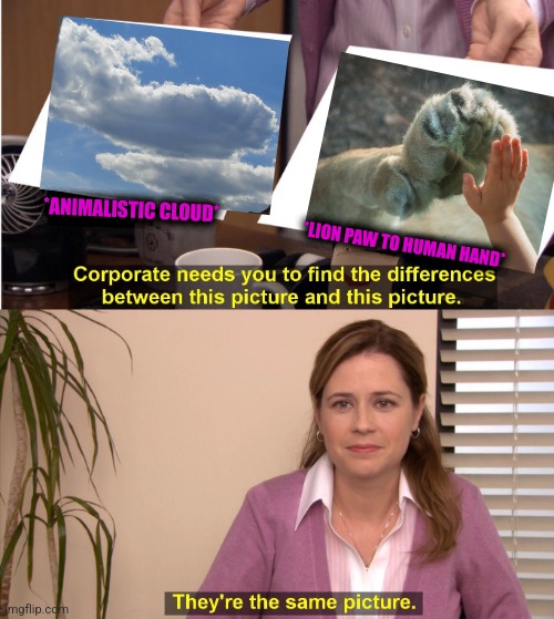 -Protection glass. | *ANIMALISTIC CLOUD*; *LION PAW TO HUMAN HAND* | image tagged in memes,they're the same picture,zoo,lion king,totally looks like,weird wildlife | made w/ Imgflip meme maker