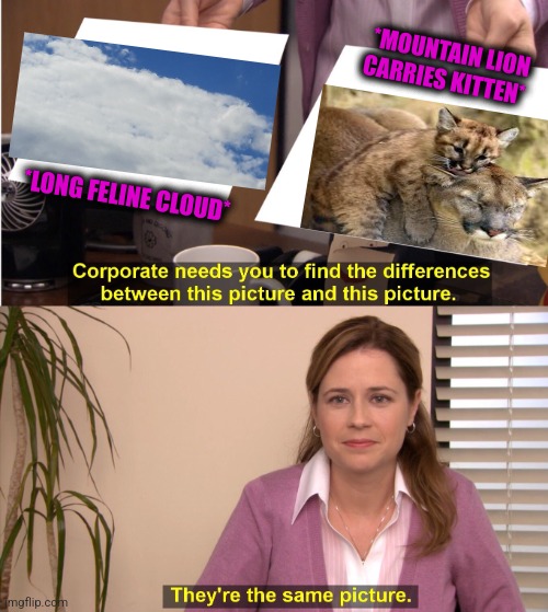 -Sitting face, seriously. | *MOUNTAIN LION CARRIES KITTEN*; *LONG FELINE CLOUD* | image tagged in memes,they're the same picture,mountain,lion king,totally looks like,cloud strife | made w/ Imgflip meme maker