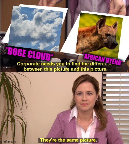 -Looking clearly. | *DOGE CLOUD*; *AFRICAN HYENA* | image tagged in memes,they're the same picture,hyena,african kids dancing,totally looks like,doge cloud | made w/ Imgflip meme maker
