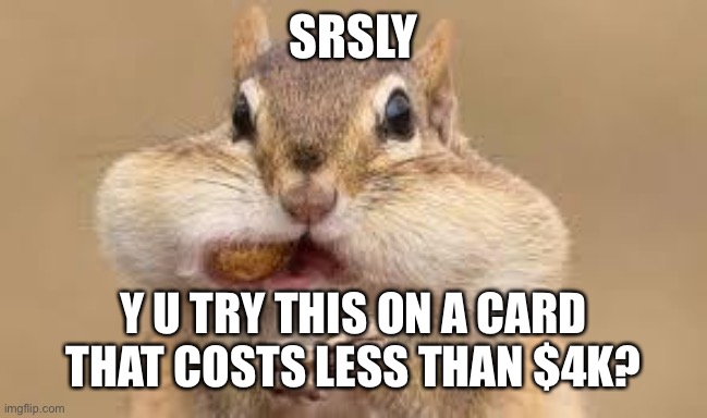 Chipmunk | SRSLY Y U TRY THIS ON A CARD THAT COSTS LESS THAN $4K? | image tagged in chipmunk | made w/ Imgflip meme maker
