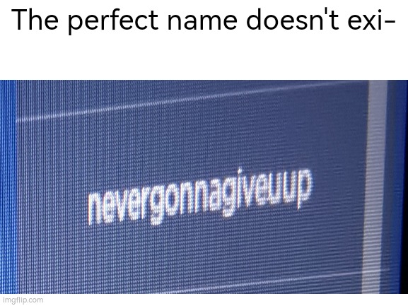 The perfect username | The perfect name doesn't exi- | image tagged in never gonna give you up,rickroll | made w/ Imgflip meme maker