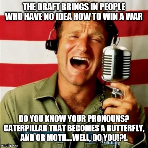 Hello Sunshine | THE DRAFT BRINGS IN PEOPLE WHO HAVE NO IDEA HOW TO WIN A WAR; DO YOU KNOW YOUR PRONOUNS? CATERPILLAR THAT BECOMES A BUTTERFLY, AND OR MOTH....WELL, DO YOU!?!. | image tagged in good morning vietnam,propaganda | made w/ Imgflip meme maker