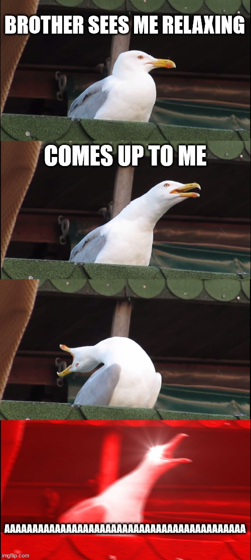 comment this exact image if you agree | BROTHER SEES ME RELAXING; COMES UP TO ME; AAAAAAAAAAAAAAAAAAAAAAAAAAAAAAAAAAAAAAAAAAA | image tagged in memes,inhaling seagull,relatable | made w/ Imgflip meme maker