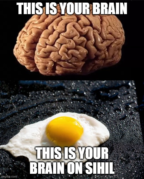 This is your brain | THIS IS YOUR BRAIN; THIS IS YOUR BRAIN ON SIHIL | image tagged in this is your brain | made w/ Imgflip meme maker