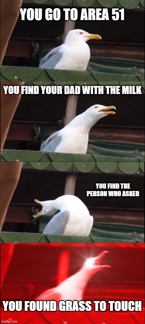 Inhaling Seagull |  YOU GO TO AREA 51; YOU FIND YOUR DAD WITH THE MILK; YOU FIND THE PERSON WHO ASKED; YOU FOUND GRASS TO TOUCH | image tagged in memes,inhaling seagull | made w/ Imgflip meme maker
