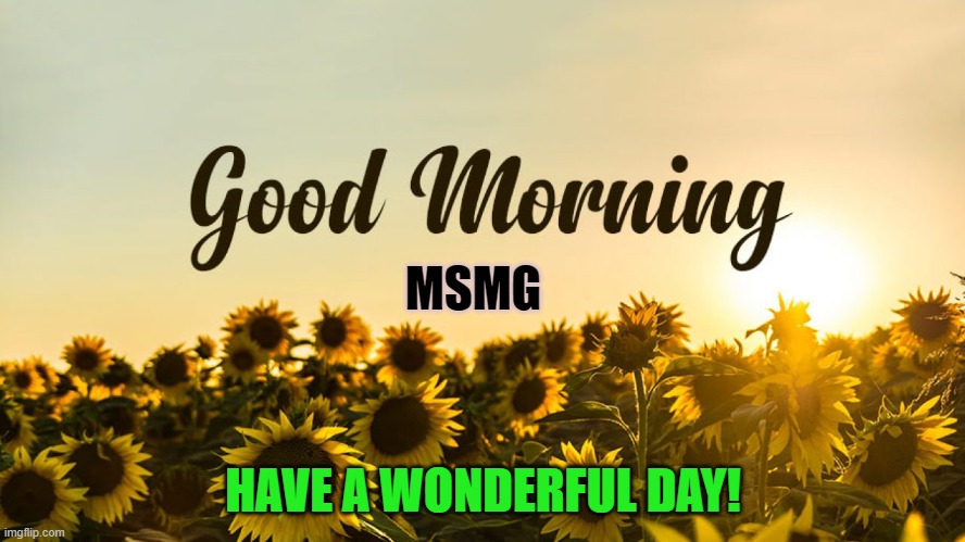 good morning! | MSMG; HAVE A WONDERFUL DAY! | image tagged in good morning | made w/ Imgflip meme maker