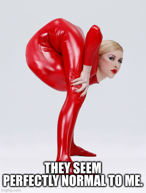 Zlata the contortionist | THEY SEEM PERFECTLY NORMAL TO ME. | image tagged in zlata the contortionist | made w/ Imgflip meme maker