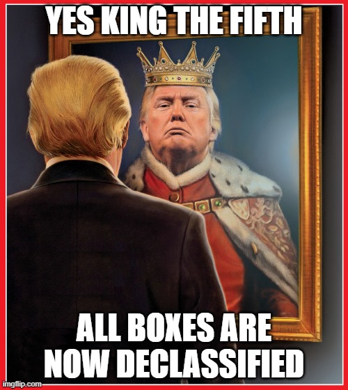 Trump Mirror King | YES KING THE FIFTH; ALL BOXES ARE NOW DECLASSIFIED | image tagged in trump mirror king | made w/ Imgflip meme maker