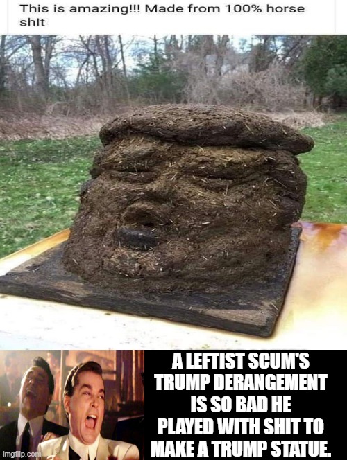 A leftist scum's Trump derangement is so bad he played with shit to make a Trump statue. | A LEFTIST SCUM'S TRUMP DERANGEMENT IS SO BAD HE PLAYED WITH SHIT TO MAKE A TRUMP STATUE. | image tagged in triggered liberal,liberals,special kind of stupid,trump derangement syndrome | made w/ Imgflip meme maker