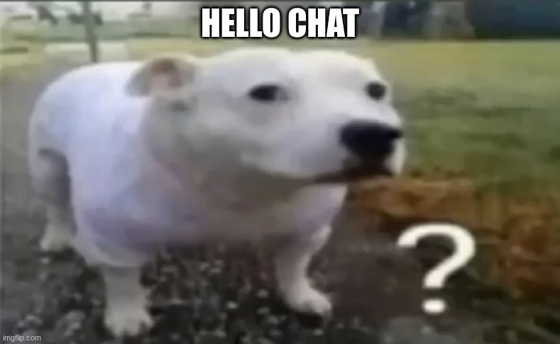 ? | HELLO CHAT | made w/ Imgflip meme maker