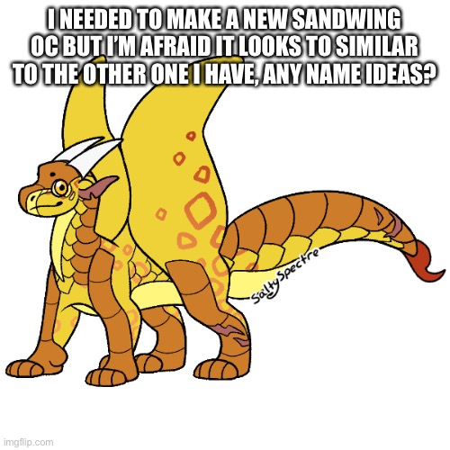 I NEEDED TO MAKE A NEW SANDWING OC BUT I’M AFRAID IT LOOKS TO SIMILAR TO THE OTHER ONE I HAVE, ANY NAME IDEAS? | made w/ Imgflip meme maker