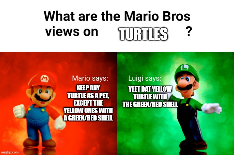 Mario Bros' opinion on turtles |  TURTLES; KEEP ANY TURTLE AS A PET, EXCEPT THE YELLOW ONES WITH A GREEN/RED SHELL; YEET DAT YELLOW TURTLE WITH THE GREEN/RED SHELL | image tagged in turtle,mario,luigi,opinions | made w/ Imgflip meme maker