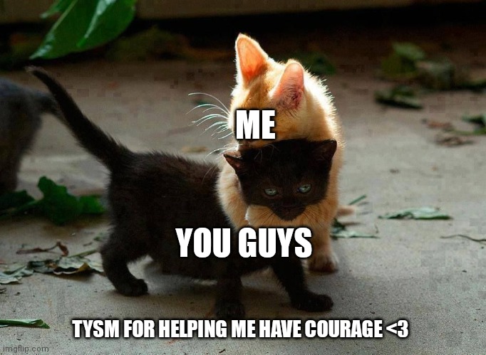 kitten hug | ME YOU GUYS TYSM FOR HELPING ME HAVE COURAGE <3 | image tagged in kitten hug | made w/ Imgflip meme maker