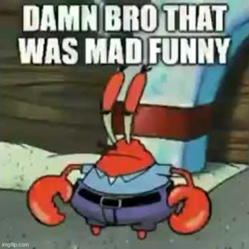 damn bro that was mad funny | image tagged in damn bro that was mad funny | made w/ Imgflip meme maker