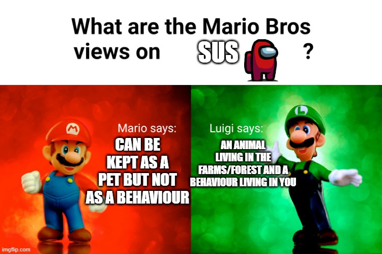 Mario bros' opinion on SUS | SUS; AN ANIMAL LIVING IN THE FARMS/FOREST AND A BEHAVIOUR LIVING IN YOU; CAN BE KEPT AS A PET BUT NOT AS A BEHAVIOUR | image tagged in sus,pig,meme,amogus | made w/ Imgflip meme maker