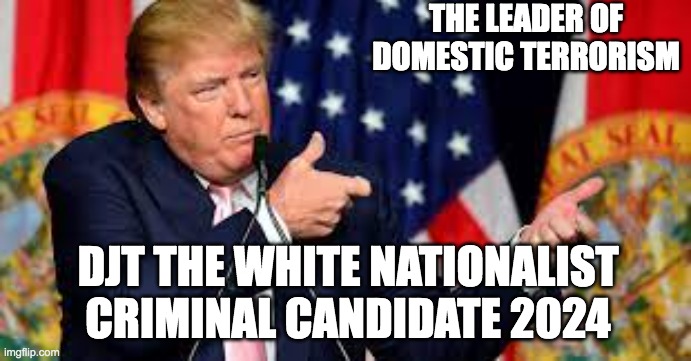 the orange kkklown and his band of social misfits | THE LEADER OF DOMESTIC TERRORISM; DJT THE WHITE NATIONALIST CRIMINAL CANDIDATE 2024 | image tagged in donald trump approves,social anxiety,confused white monkey | made w/ Imgflip meme maker