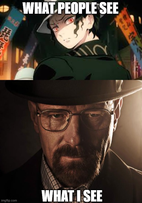  WHAT PEOPLE SEE; WHAT I SEE | image tagged in muzan,heisenberg | made w/ Imgflip meme maker