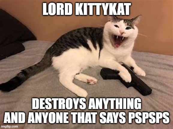 dont say it to him | LORD KITTYKAT; DESTROYS ANYTHING AND ANYONE THAT SAYS PSPSPS | image tagged in lord kitykat | made w/ Imgflip meme maker