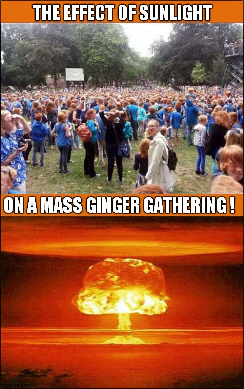 That's Too Many Gingers ! | THE EFFECT OF SUNLIGHT; ON A MASS GINGER GATHERING ! | image tagged in ginger,sunlight,explosion,dark humour | made w/ Imgflip meme maker