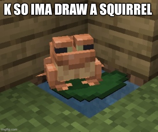 n o r m a n. | K SO IMA DRAW A SQUIRREL | image tagged in n o r m a n,sorry it took 13 hours i just had to sleep for a sec | made w/ Imgflip meme maker