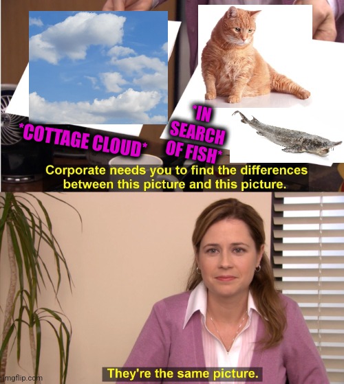 -Till whiskers are juicy drops. | *IN SEARCH OF FISH*; *COTTAGE CLOUD* | image tagged in memes,they're the same picture,cute cat,fishing for upvotes,totally looks like,funny animals | made w/ Imgflip meme maker