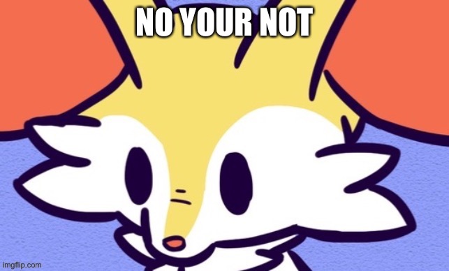 Braixen | NO YOUR NOT | image tagged in braixen | made w/ Imgflip meme maker