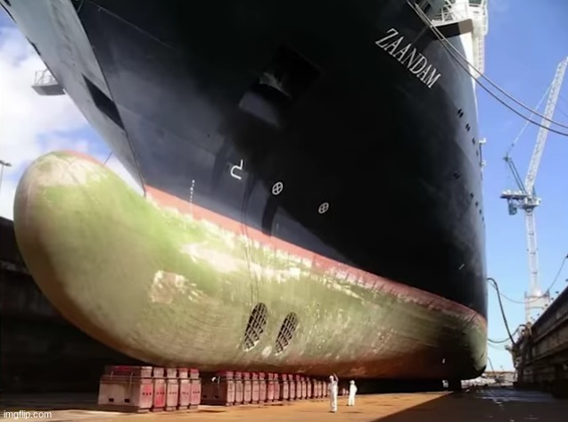 is that something needed for buoyancy or are you just happy to see me | made w/ Imgflip meme maker