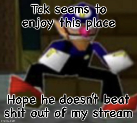 wah male | Tck seems to enjoy this place; Hope he doesn’t beat shit out of my stream | image tagged in wah male | made w/ Imgflip meme maker