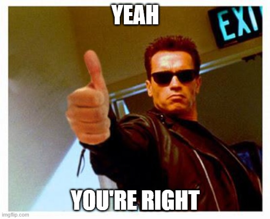 terminator thumbs up | YEAH YOU'RE RIGHT | image tagged in terminator thumbs up | made w/ Imgflip meme maker