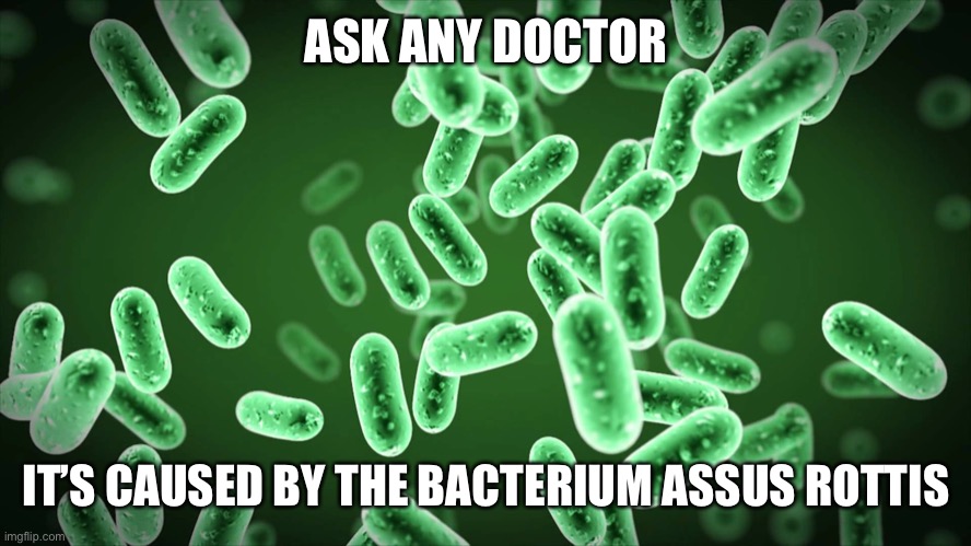 Green Bacteria | ASK ANY DOCTOR IT’S CAUSED BY THE BACTERIUM ASSUS ROTTIS | image tagged in green bacteria | made w/ Imgflip meme maker