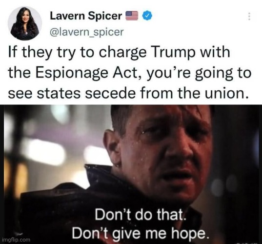 At this point states need to secede from the union. | image tagged in hawkeye ''don't give me hope'' | made w/ Imgflip meme maker