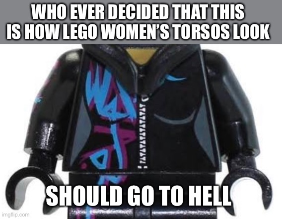 WHO EVER DECIDED THAT THIS IS HOW LEGO WOMEN’S TORSOS LOOK; SHOULD GO TO HELL | image tagged in pointlesslygendered | made w/ Imgflip meme maker